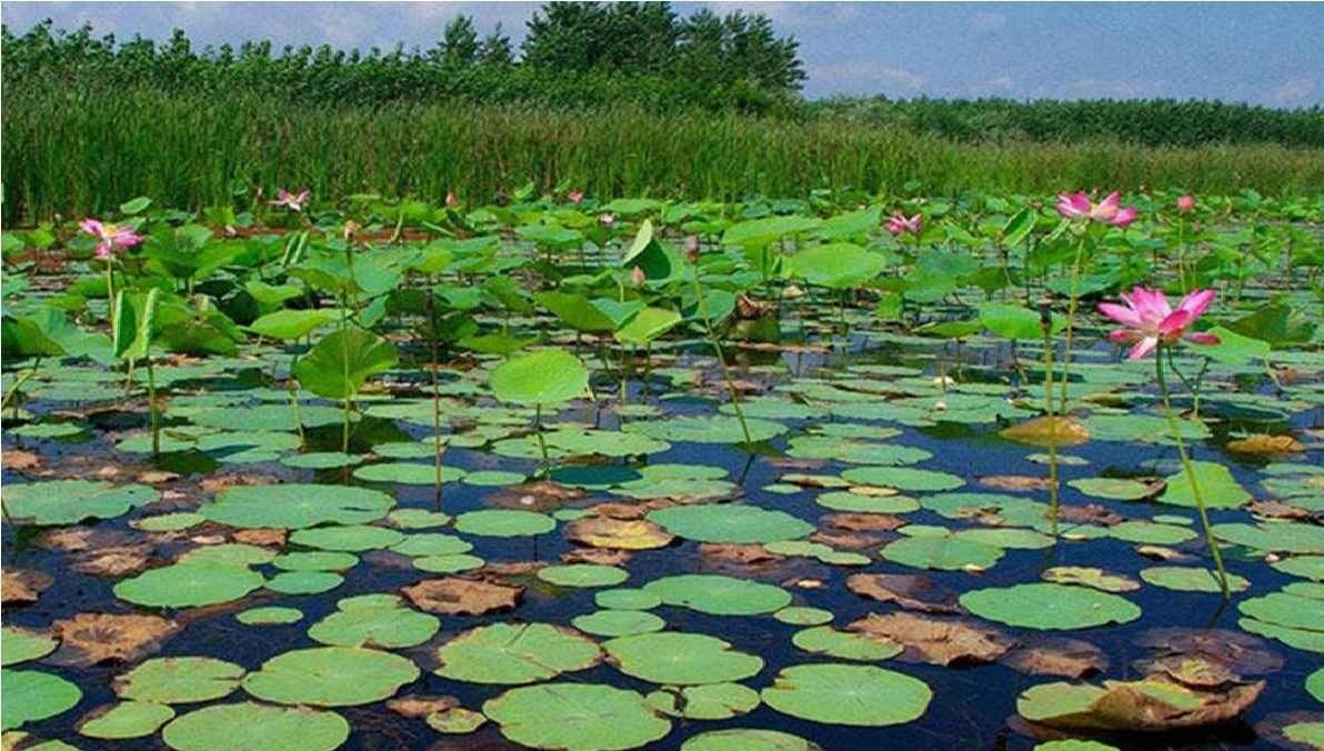 گردشگری | توریسم ,