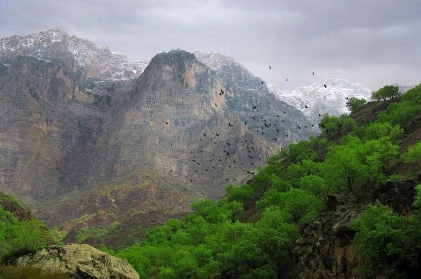 گردشگری | توریسم ,