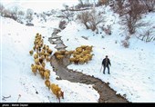بارش برف در شهرستان اهر - آذربایجان شرقی