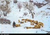 بارش برف در شهرستان اهر - آذربایجان شرقی