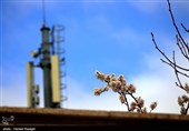 صدای پای بهار در کوچه پس کوچه های ابهر