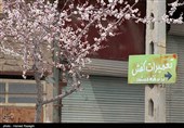 صدای پای بهار در کوچه پس کوچه های ابهر