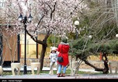 صدای پای بهار در کوچه پس کوچه های ابهر