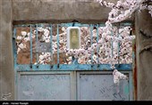 صدای پای بهار در کوچه پس کوچه های ابهر