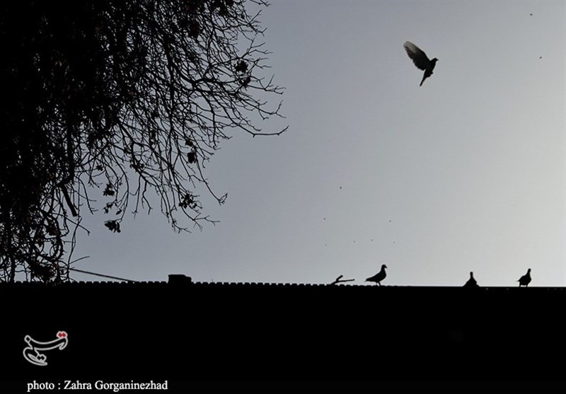 استان کرمان , عید نوروز , 