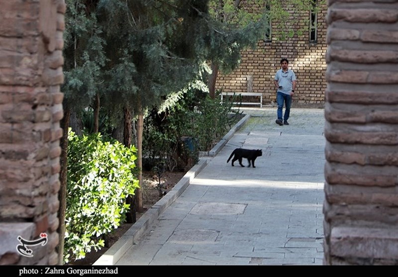 استان کرمان , عید نوروز , 