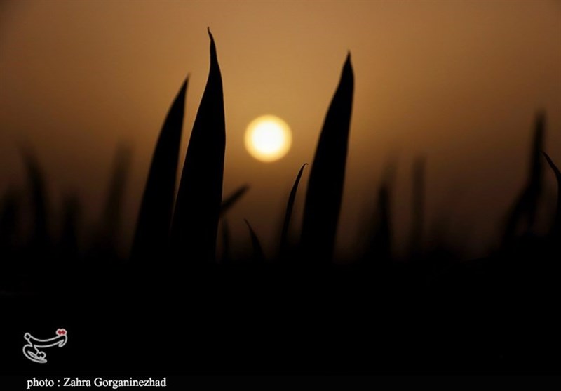 استان کرمان , 