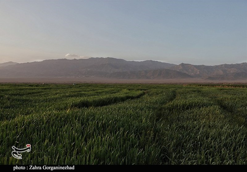 استان کرمان , 