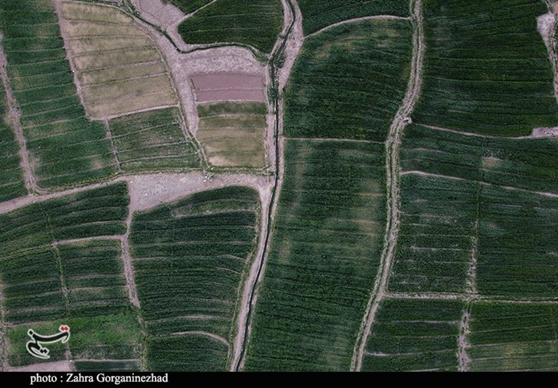 استان کرمان , 