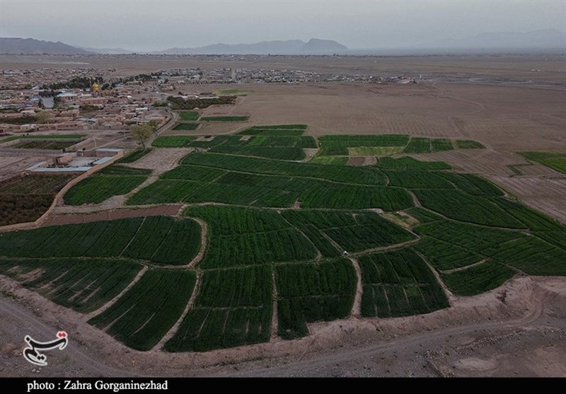 استان کرمان , 