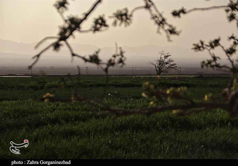 استان کرمان , 