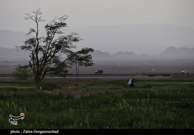 استان کرمان , 