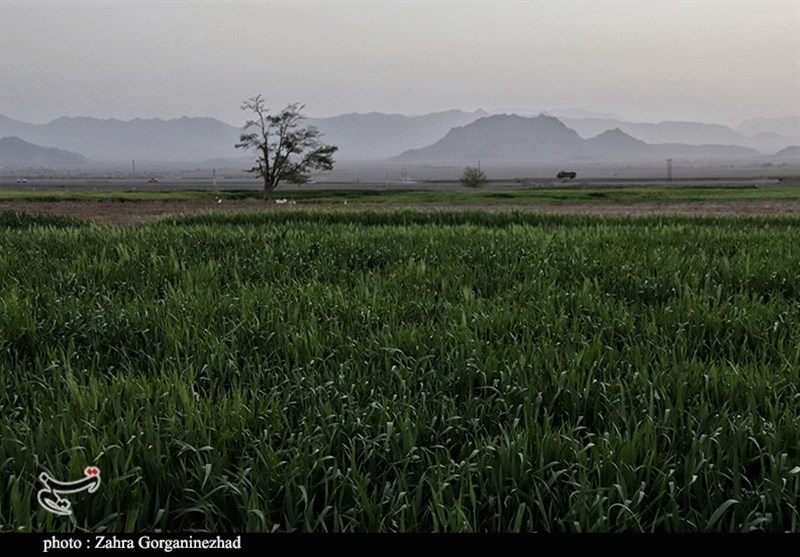 استان کرمان , 