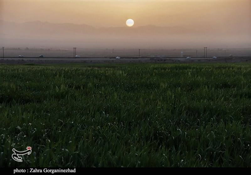 استان کرمان , 