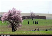 روز طبیعت در ابهر