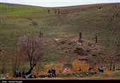 روز طبیعت در ابهر