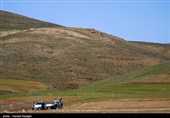 روز طبیعت در ابهر