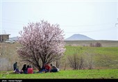 روز طبیعت در ابهر