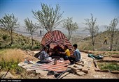 روز طبیعت در پارک کوهستانی دراک شیراز