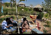 روز طبیعت در پارک کوهستانی دراک شیراز