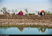 پارک کوهستانی دراک شیراز بعد از 2 سال در روز طبیعت به روی شهروندان شیرازی برای استفاده عموم از محیط و وسایل سرگرمی در این پارک در دسترس قرار گرفت 
