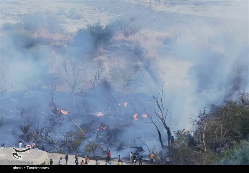 طبیعت , آتش سوزی جنگل ها و مراتع , استان کرمان , 