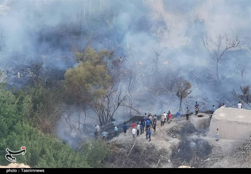 طبیعت , آتش سوزی جنگل ها و مراتع , استان کرمان , 