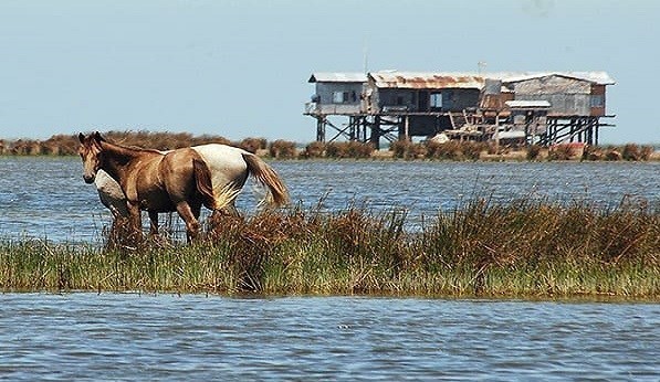 سازمان محیط زیست , صنایع آلاینده محیط زیست ,