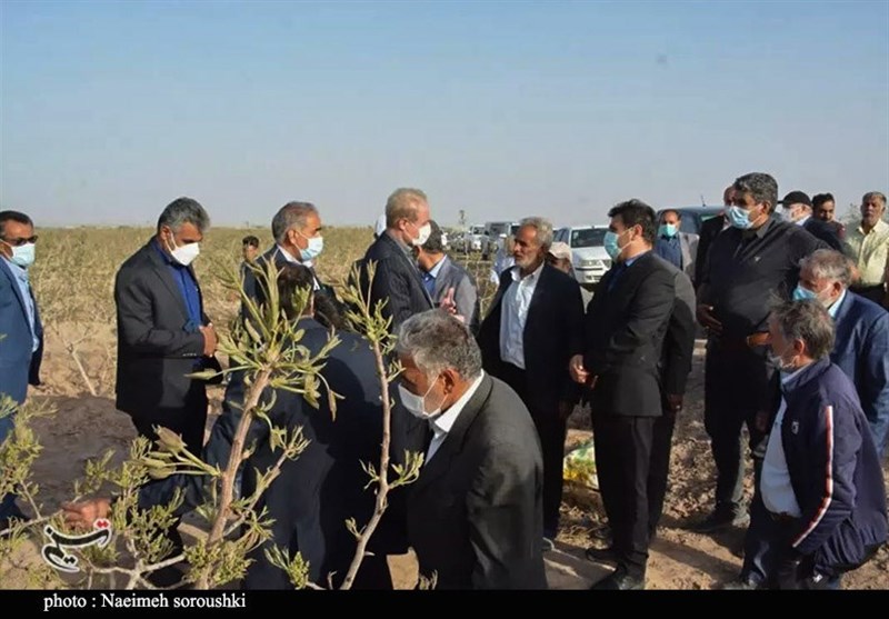 استان کرمان , کشاورزی ,