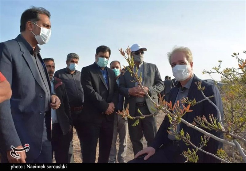 استان کرمان , کشاورزی ,