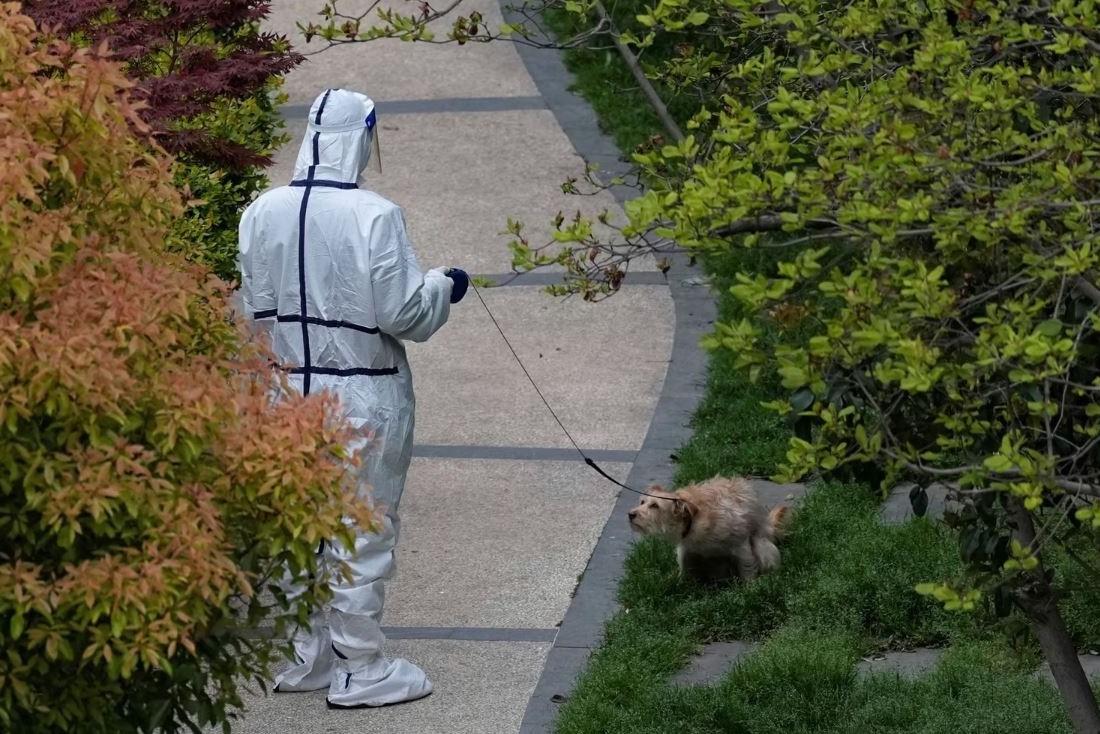 کرونا , کشور چین , 