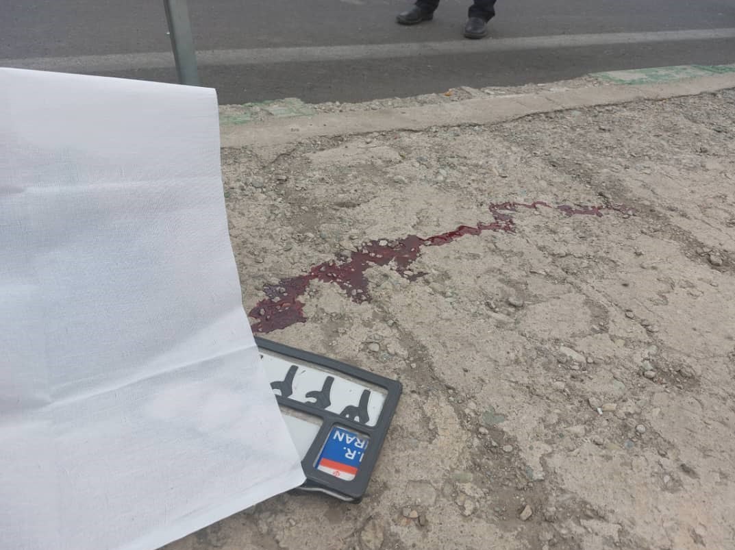 پلیس راهور | پلیس راهنمایی و رانندگی , حوادث , 