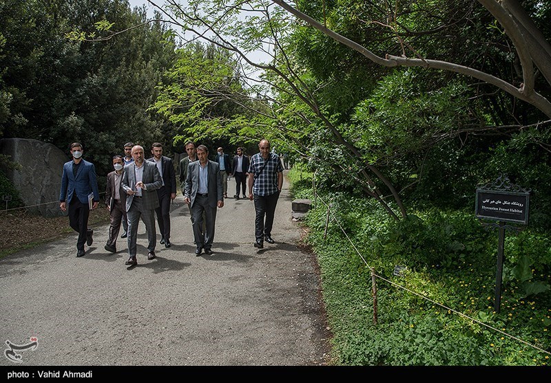 بازدید معاون دادستان کشور از باغ گیاه‌شناسی و کارگاه احداث برج‌های مشرف به باغ