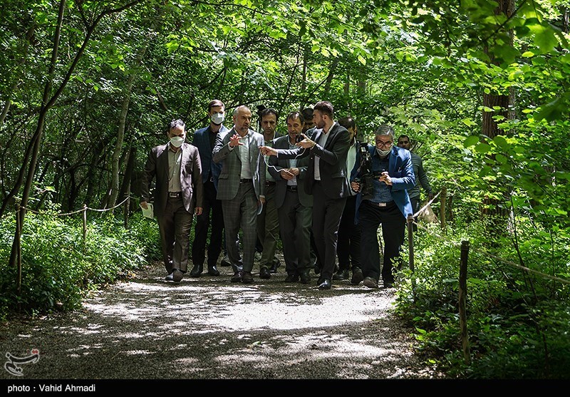 بازدید معاون دادستان کشور از باغ گیاه‌شناسی و کارگاه احداث برج‌های مشرف به باغ