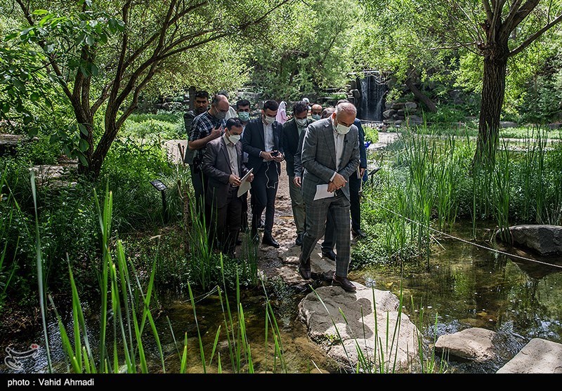 بازدید معاون دادستان کشور از باغ گیاه‌شناسی و کارگاه احداث برج‌های مشرف به باغ
