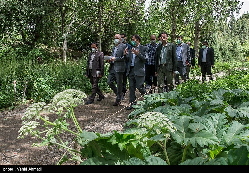 بازدید معاون دادستان کشور از باغ گیاه‌شناسی و کارگاه احداث برج‌های مشرف به باغ