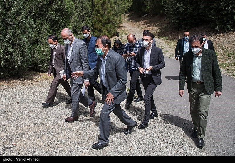 بازدید معاون دادستان کشور از باغ گیاه‌شناسی و کارگاه احداث برج‌های مشرف به باغ