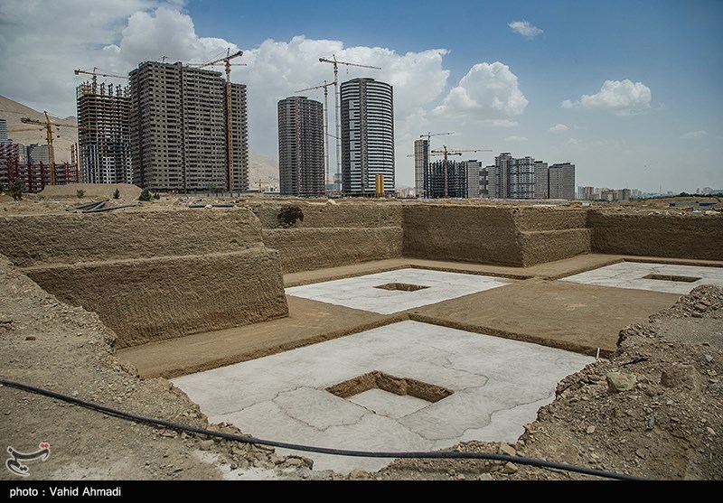 بازدید معاون دادستان کشور از باغ گیاه‌شناسی و کارگاه احداث برج‌های مشرف به باغ