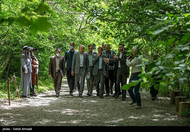 بازدید معاون دادستان کشور از باغ گیاه‌شناسی و کارگاه احداث برج‌های مشرف به باغ