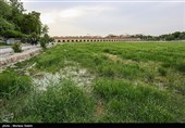 زاینده رود نیمه جان