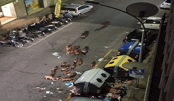 بحران های محیط زیست , 