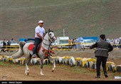 بیست و هفتمین دوره جشنواره فرهنگی ورزشی عشایر- آذربایجان شرقی