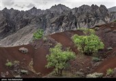 کوه مهرابکوه شهرستان دلفان استان لرستان