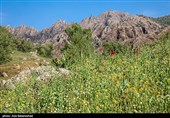 کوه مهرابکوه شهرستان دلفان استان لرستان