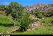 کوه مهرابکوه شهرستان دلفان استان لرستان