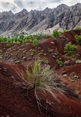 کوه مهرابکوه شهرستان دلفان استان لرستان