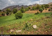 کوه مهرابکوه شهرستان دلفان استان لرستان