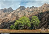کوه مهرابکوه شهرستان دلفان استان لرستان
