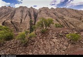 کوه مهرابکوه شهرستان دلفان استان لرستان