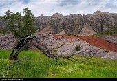 کوه مهرابکوه شهرستان دلفان استان لرستان